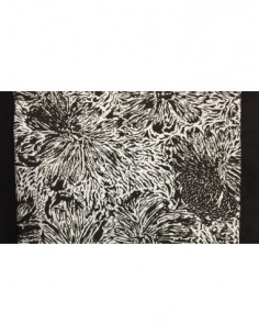 Silk Taffeta Printed TP195