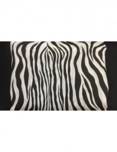 Silk Taffeta Printed TP445